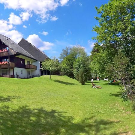 Naturidyll Am Fluss - Ferienhaus Albmatte - Grosser Garten Zum Grillen Und Entspannen-Direkt Neben Dem Radon Revitalbad Mit Sauna Und Thermalbecken St. Blasien Exterior foto