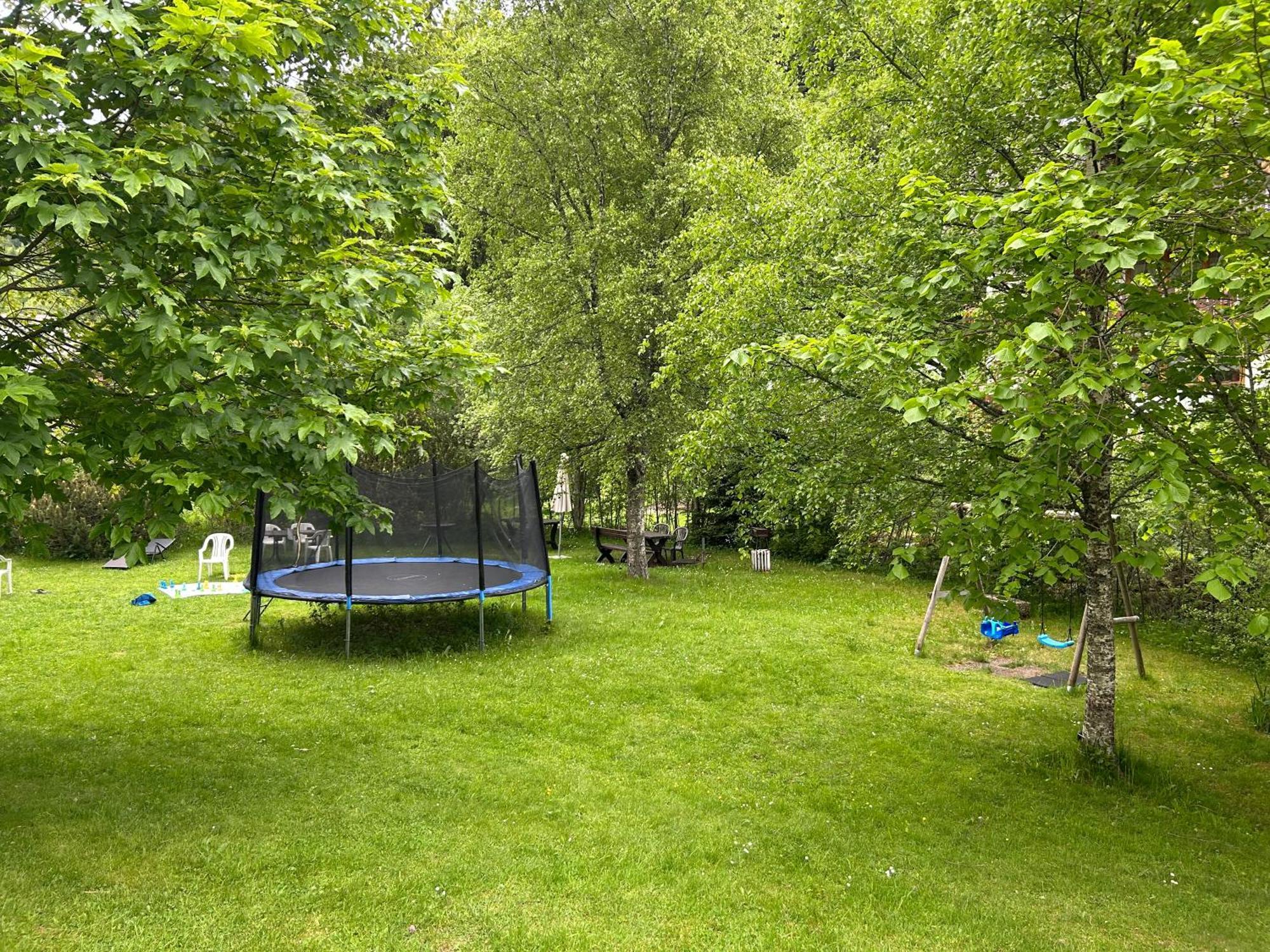 Naturidyll Am Fluss - Ferienhaus Albmatte - Grosser Garten Zum Grillen Und Entspannen-Direkt Neben Dem Radon Revitalbad Mit Sauna Und Thermalbecken St. Blasien Exterior foto