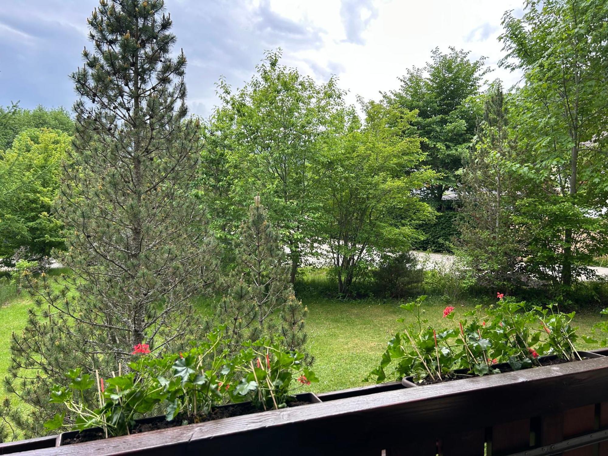 Naturidyll Am Fluss - Ferienhaus Albmatte - Grosser Garten Zum Grillen Und Entspannen-Direkt Neben Dem Radon Revitalbad Mit Sauna Und Thermalbecken St. Blasien Exterior foto