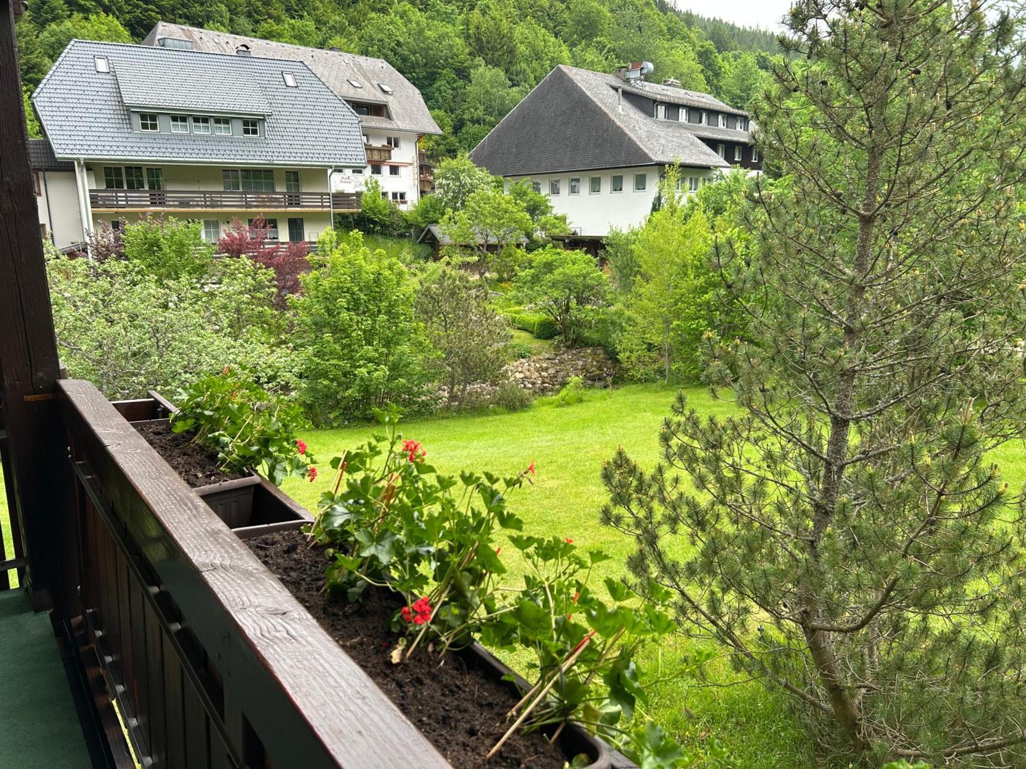 Naturidyll Am Fluss - Ferienhaus Albmatte - Grosser Garten Zum Grillen Und Entspannen-Direkt Neben Dem Radon Revitalbad Mit Sauna Und Thermalbecken St. Blasien Exterior foto