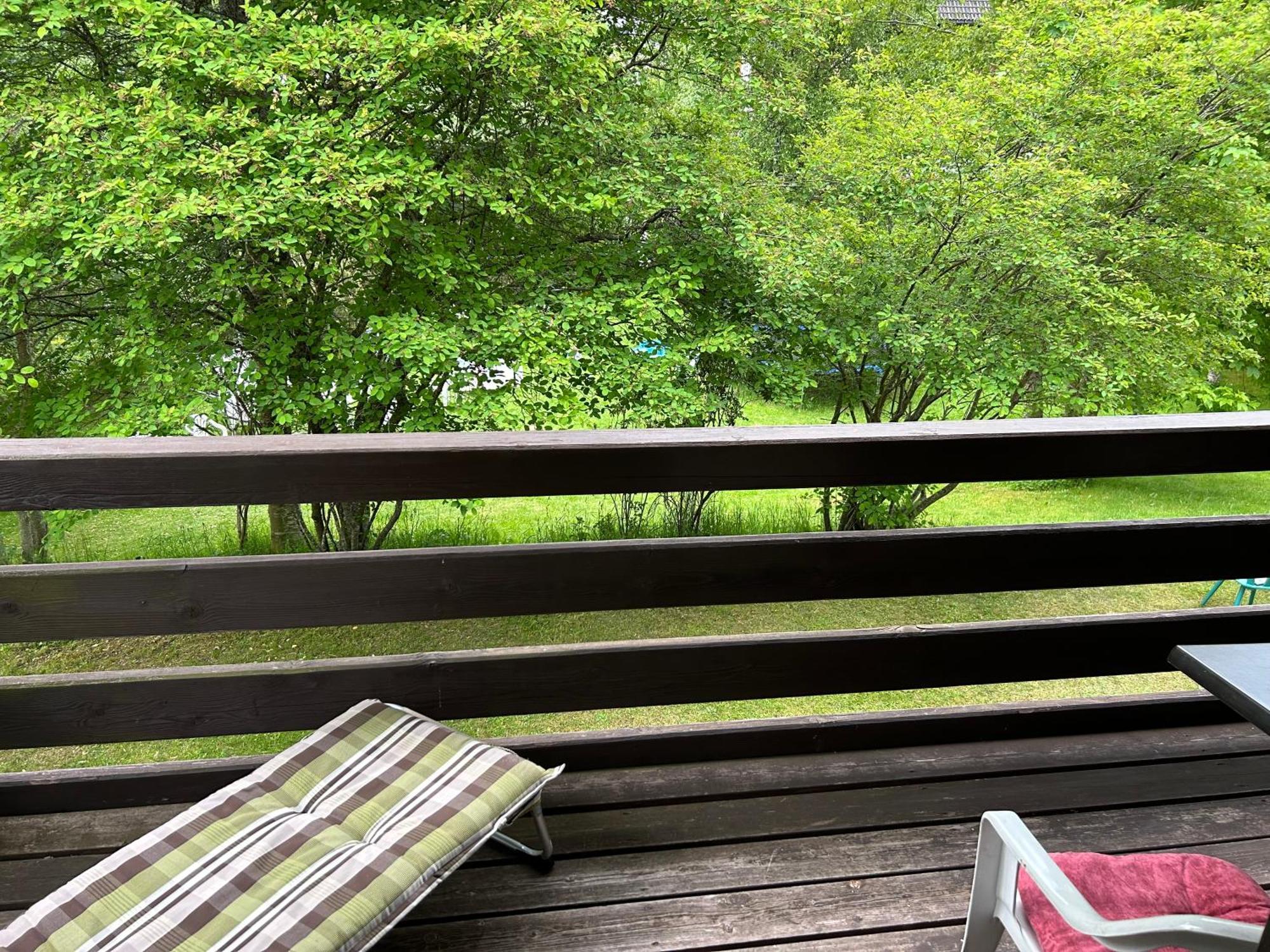 Naturidyll Am Fluss - Ferienhaus Albmatte - Grosser Garten Zum Grillen Und Entspannen-Direkt Neben Dem Radon Revitalbad Mit Sauna Und Thermalbecken St. Blasien Exterior foto