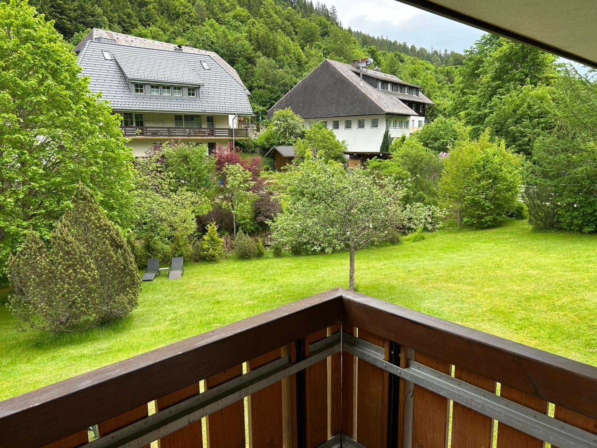 Naturidyll Am Fluss - Ferienhaus Albmatte - Grosser Garten Zum Grillen Und Entspannen-Direkt Neben Dem Radon Revitalbad Mit Sauna Und Thermalbecken St. Blasien Exterior foto