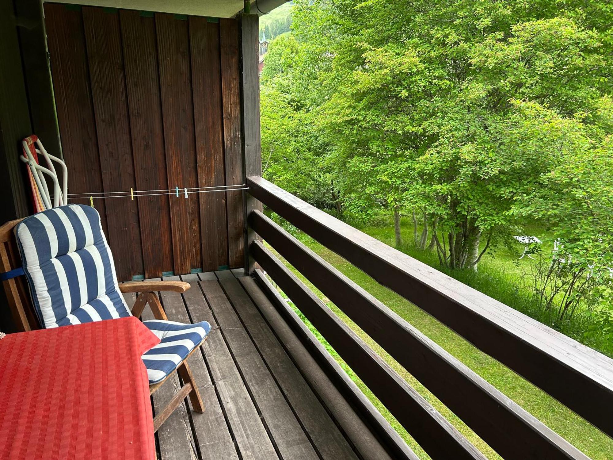 Naturidyll Am Fluss - Ferienhaus Albmatte - Grosser Garten Zum Grillen Und Entspannen-Direkt Neben Dem Radon Revitalbad Mit Sauna Und Thermalbecken St. Blasien Exterior foto