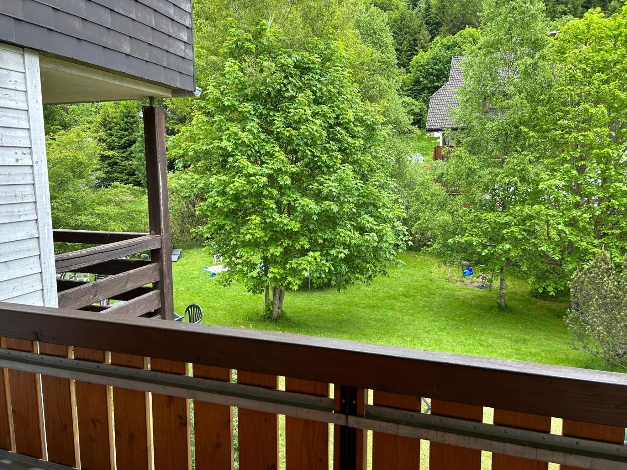 Naturidyll Am Fluss - Ferienhaus Albmatte - Grosser Garten Zum Grillen Und Entspannen-Direkt Neben Dem Radon Revitalbad Mit Sauna Und Thermalbecken St. Blasien Exterior foto