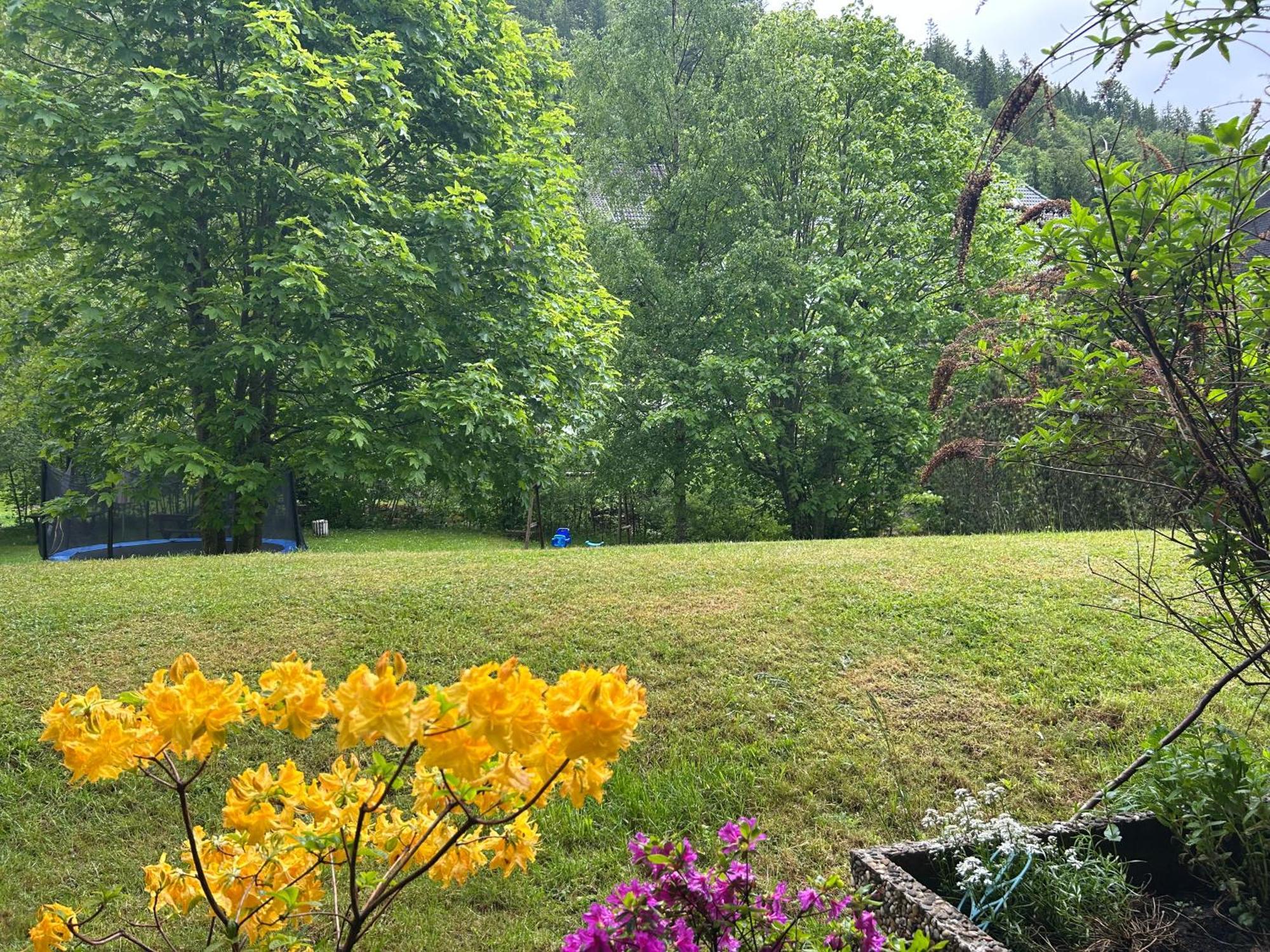 Naturidyll Am Fluss - Ferienhaus Albmatte - Grosser Garten Zum Grillen Und Entspannen-Direkt Neben Dem Radon Revitalbad Mit Sauna Und Thermalbecken St. Blasien Exterior foto